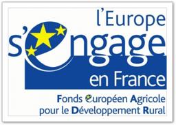 Cliquez pour agrandir l'image