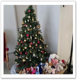 Cliquez pour agrandir l'image