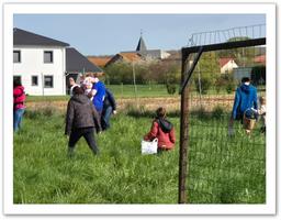 Cliquez pour agrandir l'image